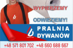 Nowoczesna pralnia dywanów "na wskroś"