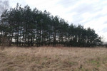 działka rolna w Szczercowie 800m2