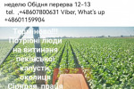 Praca Работа от сейчас! 25zł час