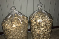 Zrębki opałowe, ogrodowe (suche)