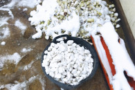 Kamień ogrodowy biały