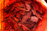 Kora sosnowa średnia