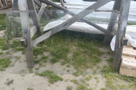 Szyba tylna golf II MK2