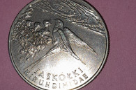 20000 JASKÓLKI 1993 R