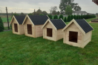 Buda drewniana dla psa