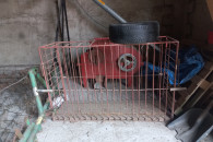 Klatka do transportu zwierząt