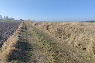 994 m2 - działka budowlana - Kłocko gm. Sieradz