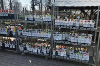 Krzewy owocowe maliny, winorośl, agrest i wiele