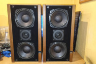 Znakomite audiofilskie kolumny ELAC ELR 65 90W