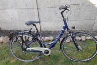 Rower damka Holenderska Giant