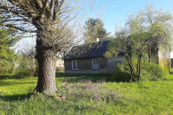 Siedlisko/ działka/ dom