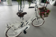 rower dzieciecy 20 cali premium