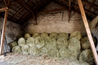 Siano bardzo dobrej jakosci