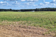 Dzierżawa wezne Wójcice Borysławice BŁASZKI