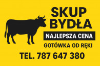 SKUP BYDŁA 787-647-380