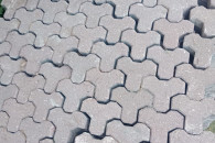 Kostka czerwona brandenburska