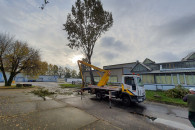 Wycinanie i przycinanie drzew gałęzi z podnośni