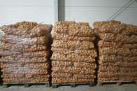 Ziemniaki MICHALINA 5zł