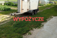 Przyczepka przyczepa bukmanka bydło konie odsad