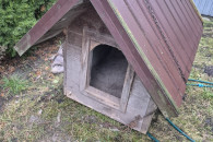 Buda dla dużego psa