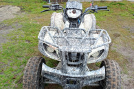 Quad 250