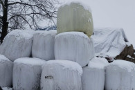 Siano i sianokiszonka