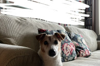 Kanapa sztruksowa IKEA EKTORP