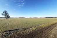 Działka budowlana w Gminie Sieradz - Wiechucice