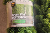 Green wall zielona ściana na balkon taras