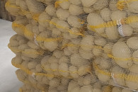 Sprzedam ziemniaki Jurek