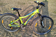 Rower młodzieżowy Author A-Matrix 13.5"