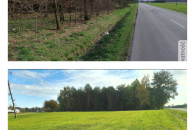 Karczowanie działek- wycinka drzew