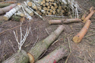 drzewo na opał, stemple, grube na palety