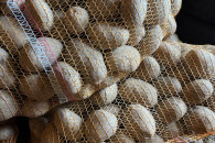 Ziemniaki jadalne Soraya