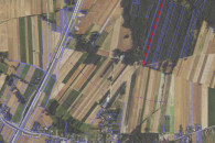 Las (okolice Barczewa)