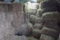 Sprzedam siano, w kostkach