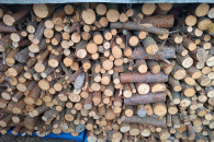 Drewno opałowe sosnowe