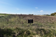 Działki z warunkami zabudowy - Warta