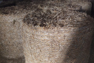 Słoma żytnia oraz owsiana