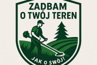 Usługi