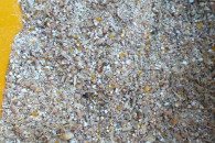 pasza brojler grower pisklak od 14 dnia natural
