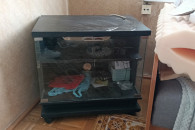 Szafka pod TV