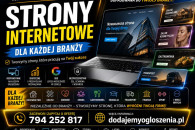Strony internetowe dla firm od prania dywanów -