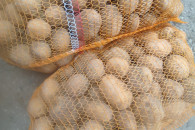 Ziemiaki colomba