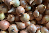 ŚWIEŻA CEBULA I BURACZKI – TYLKO 2 ZŁ/KG!